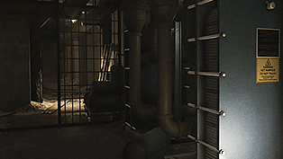 Black Swan — Escape from Tarkov Mechanic quest
