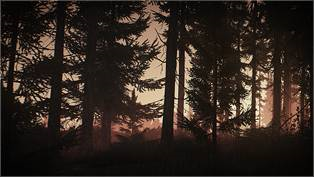 The Guide — Escape from Tarkov Peacekeeper quest